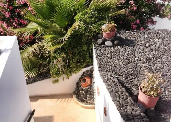 招待所 利威德洛斯别墅旅馆 3*